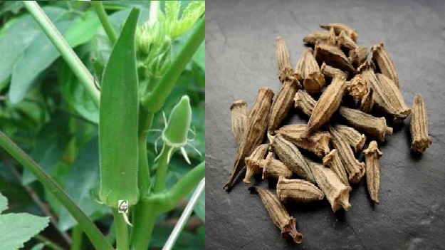 Benefits Of Okra